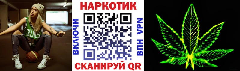 Конопля Волхов