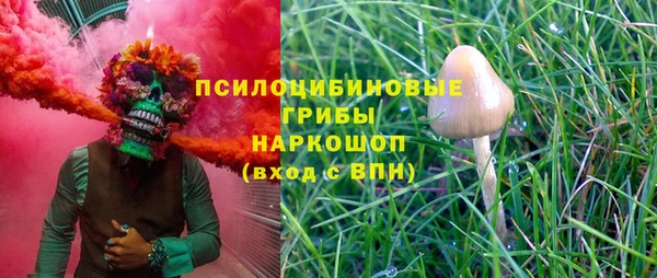 прущий лед Верея