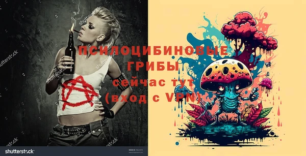 прущий лед Верея