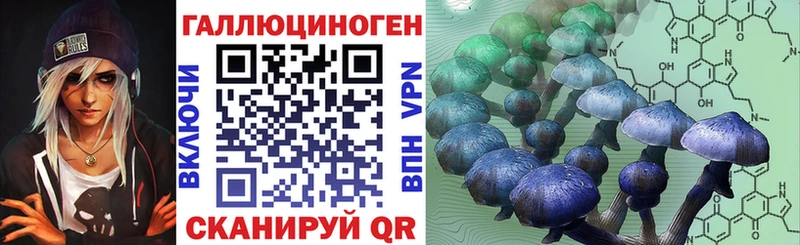 где купить   Волхов  Псилоцибиновые грибы Magic Shrooms 